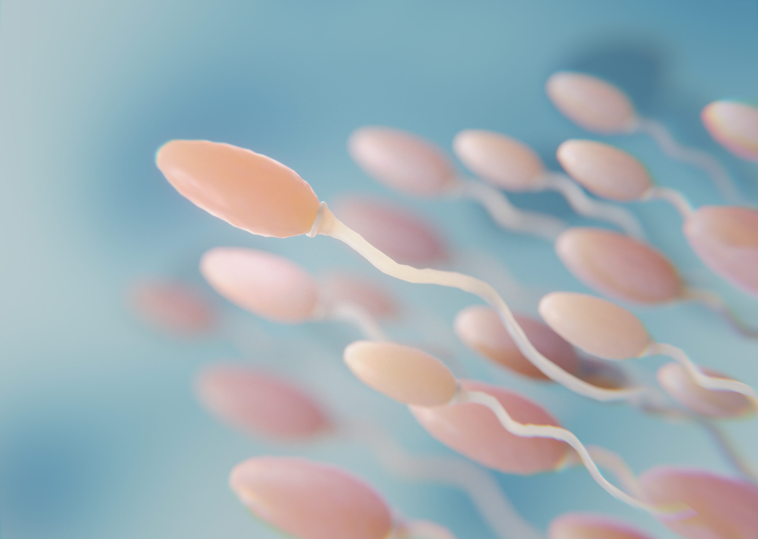 The Journey to sperm Enhancement for optimal Reproductive Health