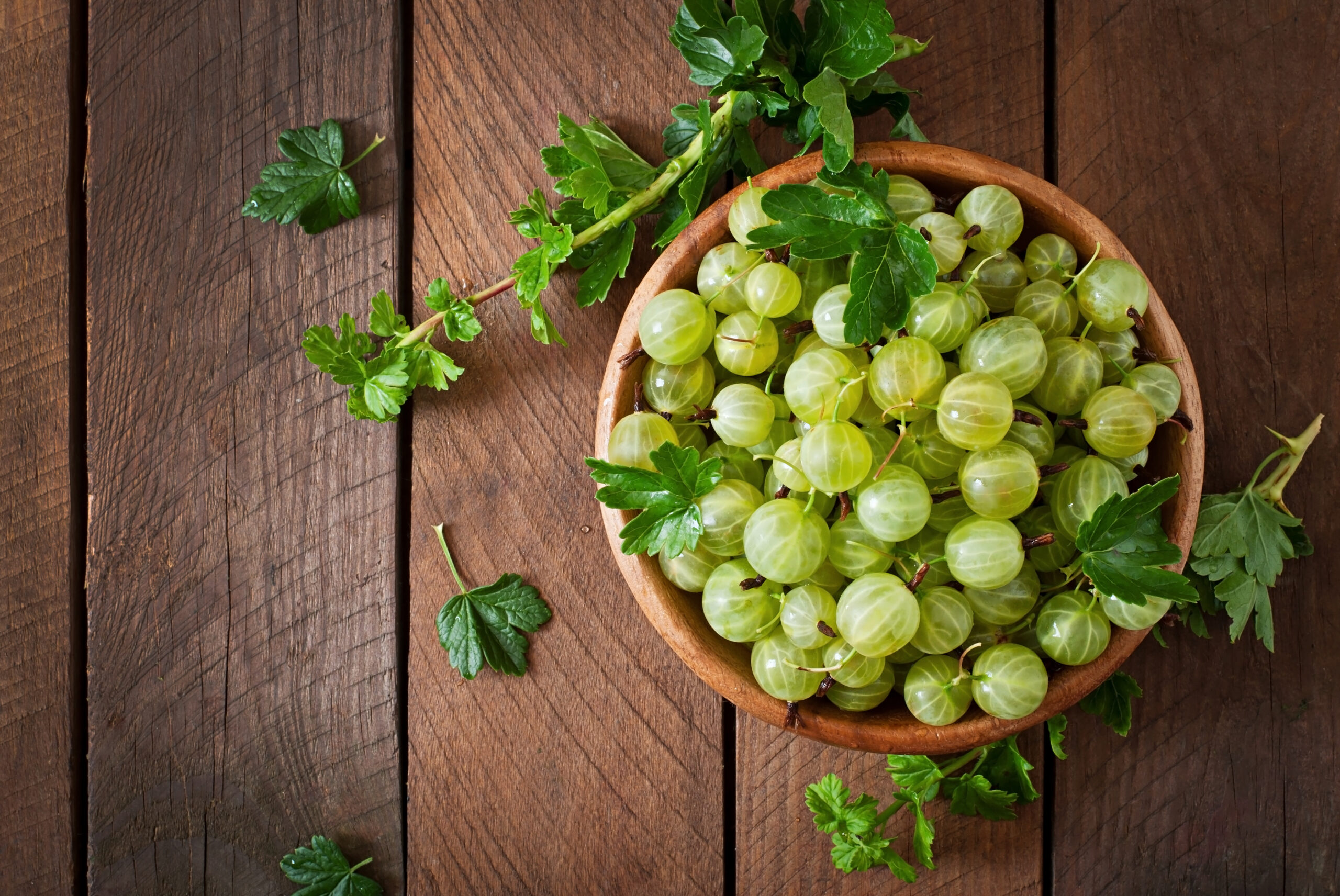 Amla (Gooseberry): 7 Best Benefits; Uses for Hair and Health Conditions; and Uses in Natural Cosmetics.